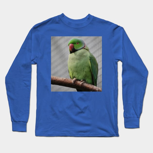 Perched Parakeet Long Sleeve T-Shirt by snknjak